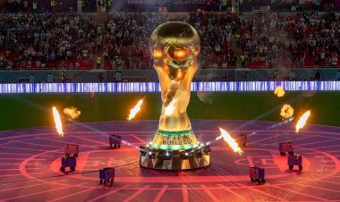 Daha bir komanda dünya çempionatına vəsiqəni təmin etdi