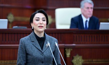 Ombudsman irqçiliyə məruz qalan futbolçunun məsələsini nəzarətə götürdü