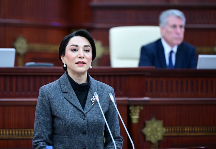 Ombudsman irqçiliyə məruz qalan futbolçunun məsələsini nəzarətə götürdü