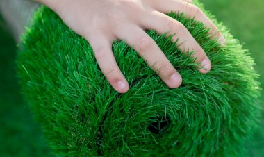 5 milyona inkişaf strategiyası yazdıranların "süni xəstəliy"i