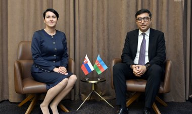 Fərid Qayıbov idman məsələləri üzrə dövlət katibi ilə görüş keçirdi