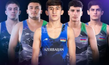 Millimizin üç güləşçisi Avropa çempionatında yarımfinala çıxdı