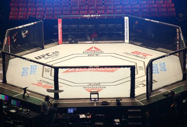 Azərbaycanda ilk dəfə keçirilən yarış UFC-nin tarixinə düşdü