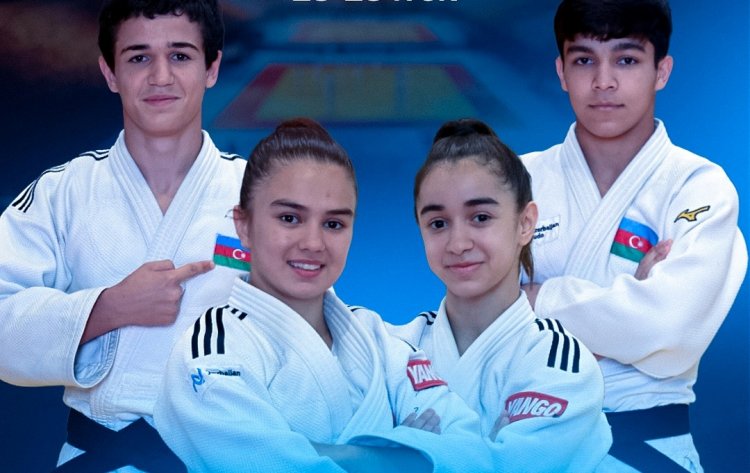 Azərbaycan Avropa çempionatında 19 idmançı təmsil edəcək
