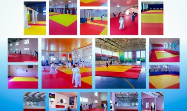 Federasiya ölkədə 20 idman zalına 10000-dən çox tatami paylayıb