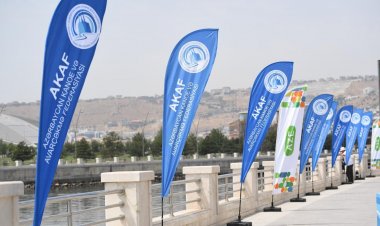 Bakı çempionatı keçirildi