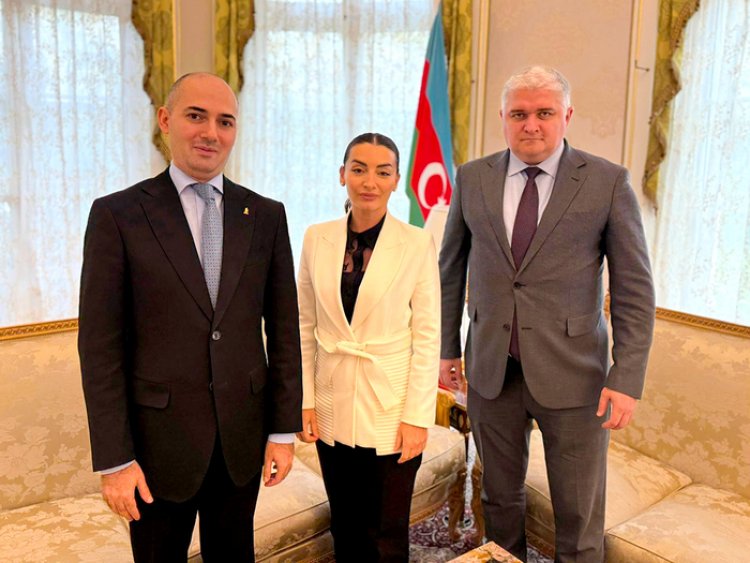 AFFA rəhbərliyi Azərbaycanın Fransadakı səfiri ilə görüş keçirdi