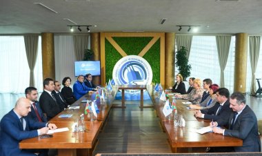 Aleksandr Jukovski Azərbaycan yığmasına baş məşqçi təyin edildi