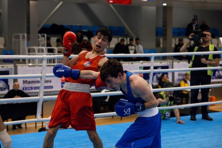 10 boksçumuz bürünc medal qazandı, daha 11-i finala yüksəldi