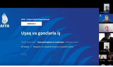   "Uşaq və gənclərlə iş" silsiləsinin ikinci onlayn seminarı keçirildi