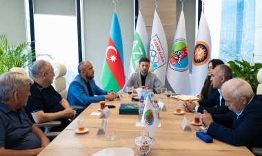  Elçin Cəfərov federasiyada yaradılan komitənin sədri seçildi