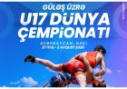  Bakıdakı dünya çempionatının biletləri 2 manatdan satılır