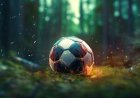  Azərbaycan stadionlarında su fasiləsinin müddəti dəyişdirildi