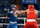  Daha bir bokçsumuz Avropa çempionatında yarımfinala çıxdı