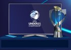  Millimiz irlandlara tapşırıldı